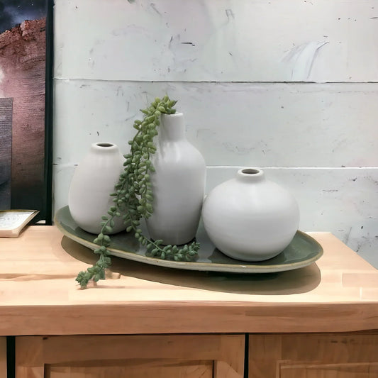 White ceramic vases with trailing succulent on green tray, modern home décor accent