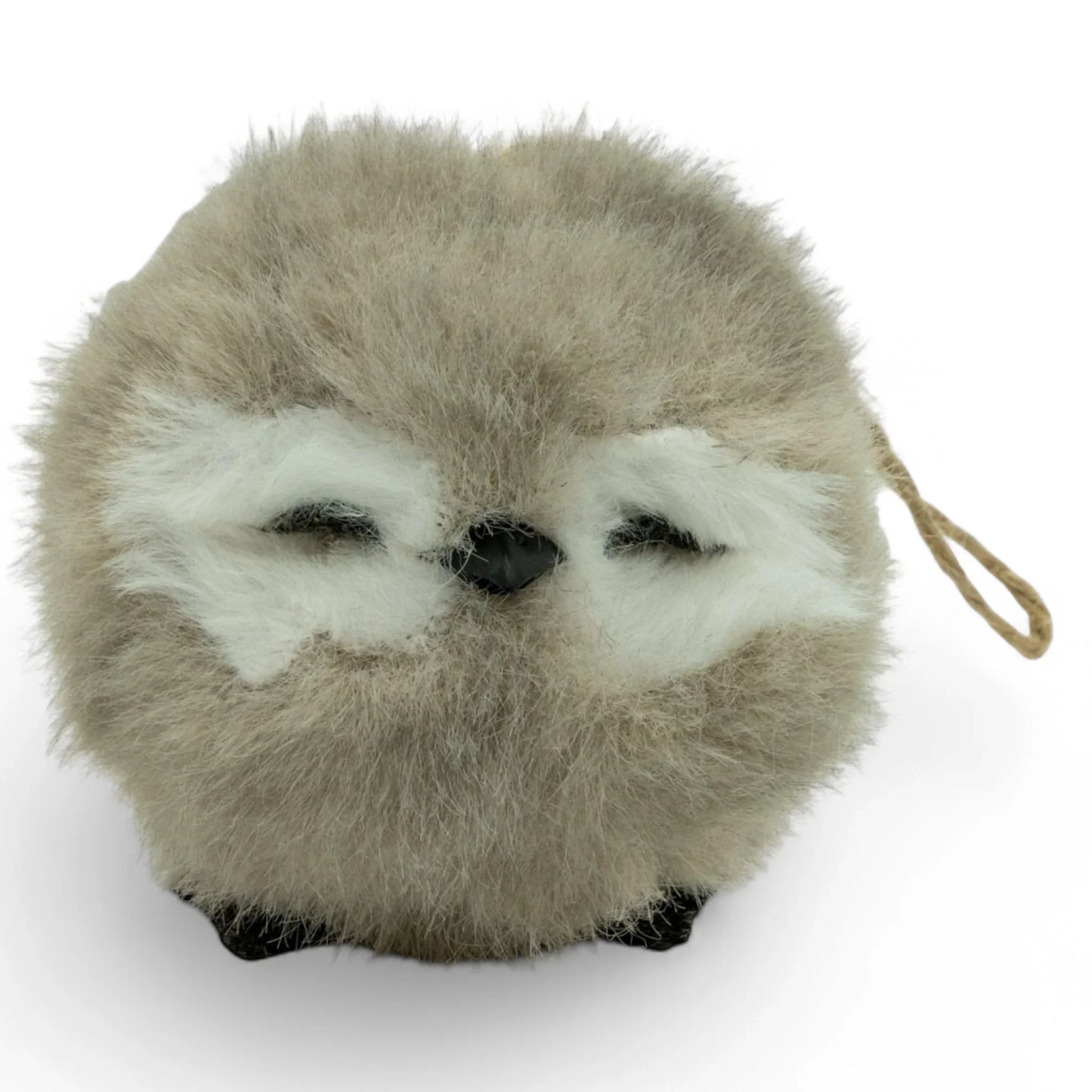 Grey Sitting Sleeping Owl