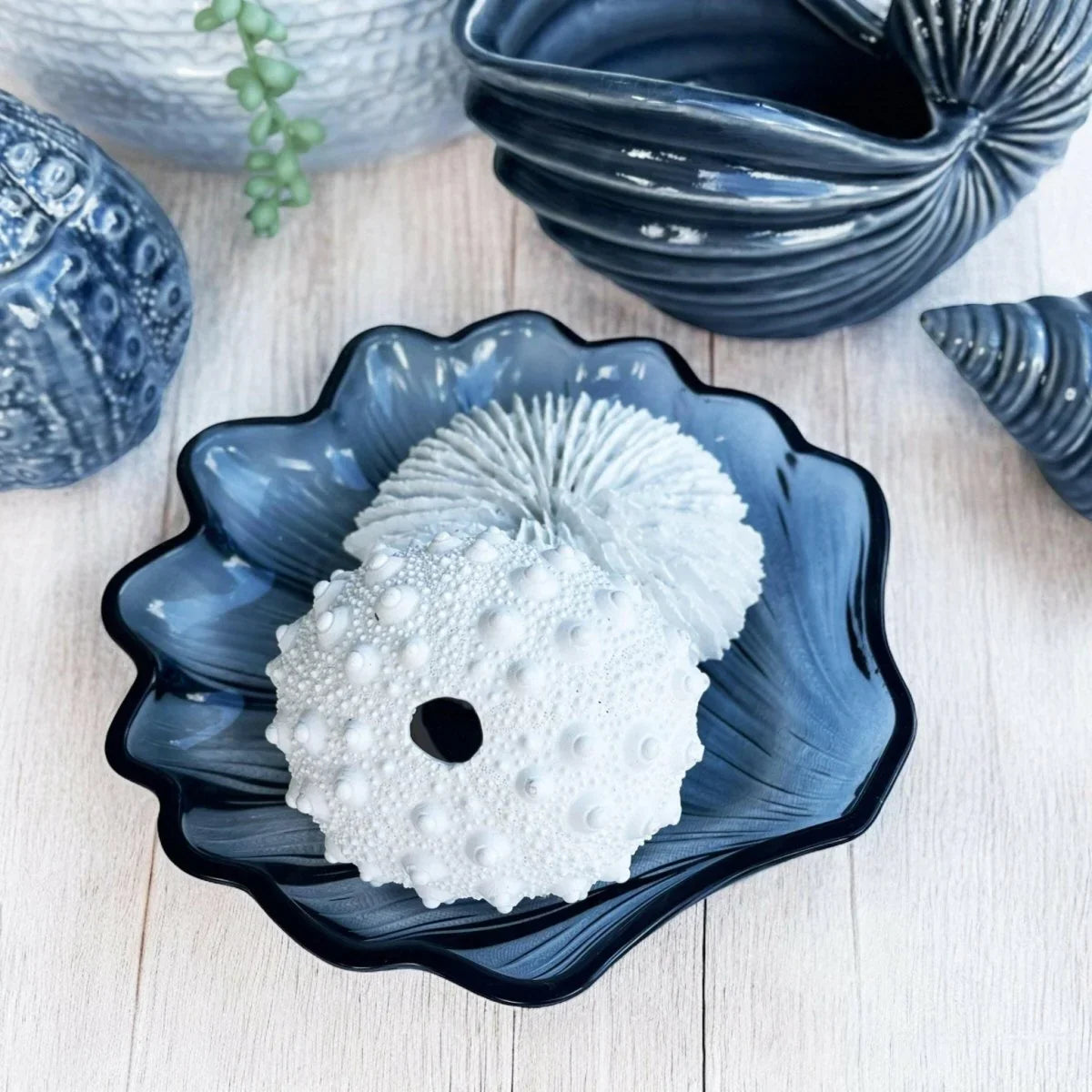 Nautilus Shell Sculpture - Exquisite Homewares