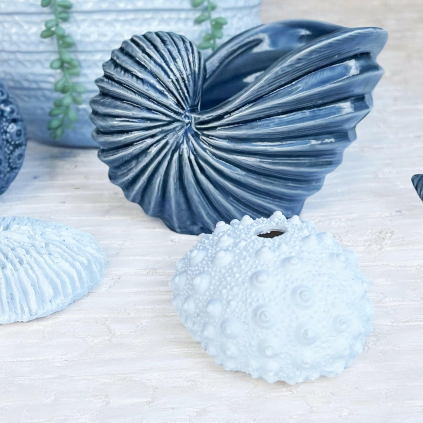 Nautilus Shell Sculpture - Exquisite Homewares