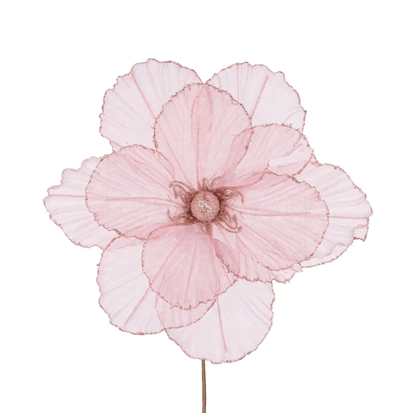 Sheer Pink Camellia 27cm