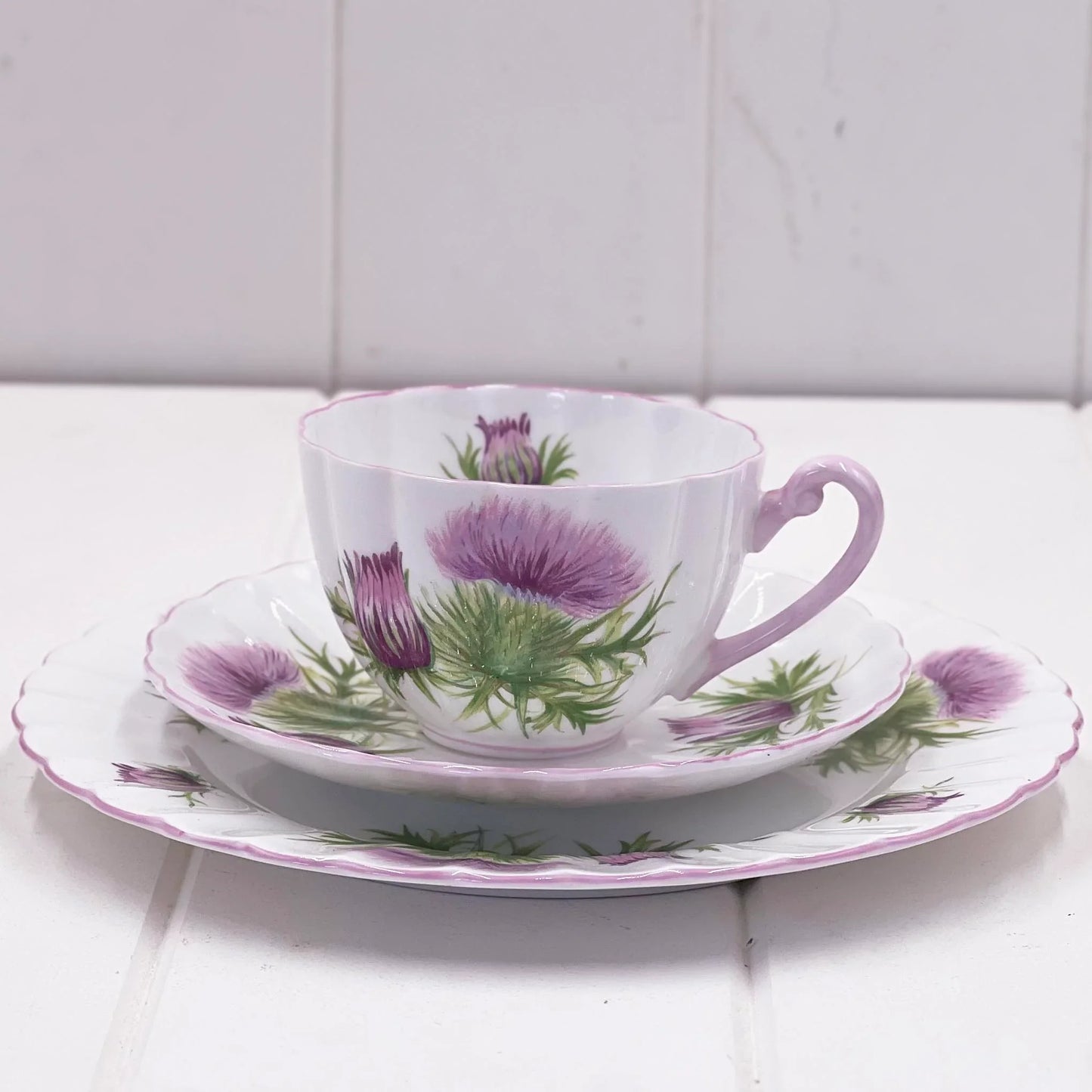Shelley Vintage Thistle Trio - English Bone China Cup Saucer 20cm Plate