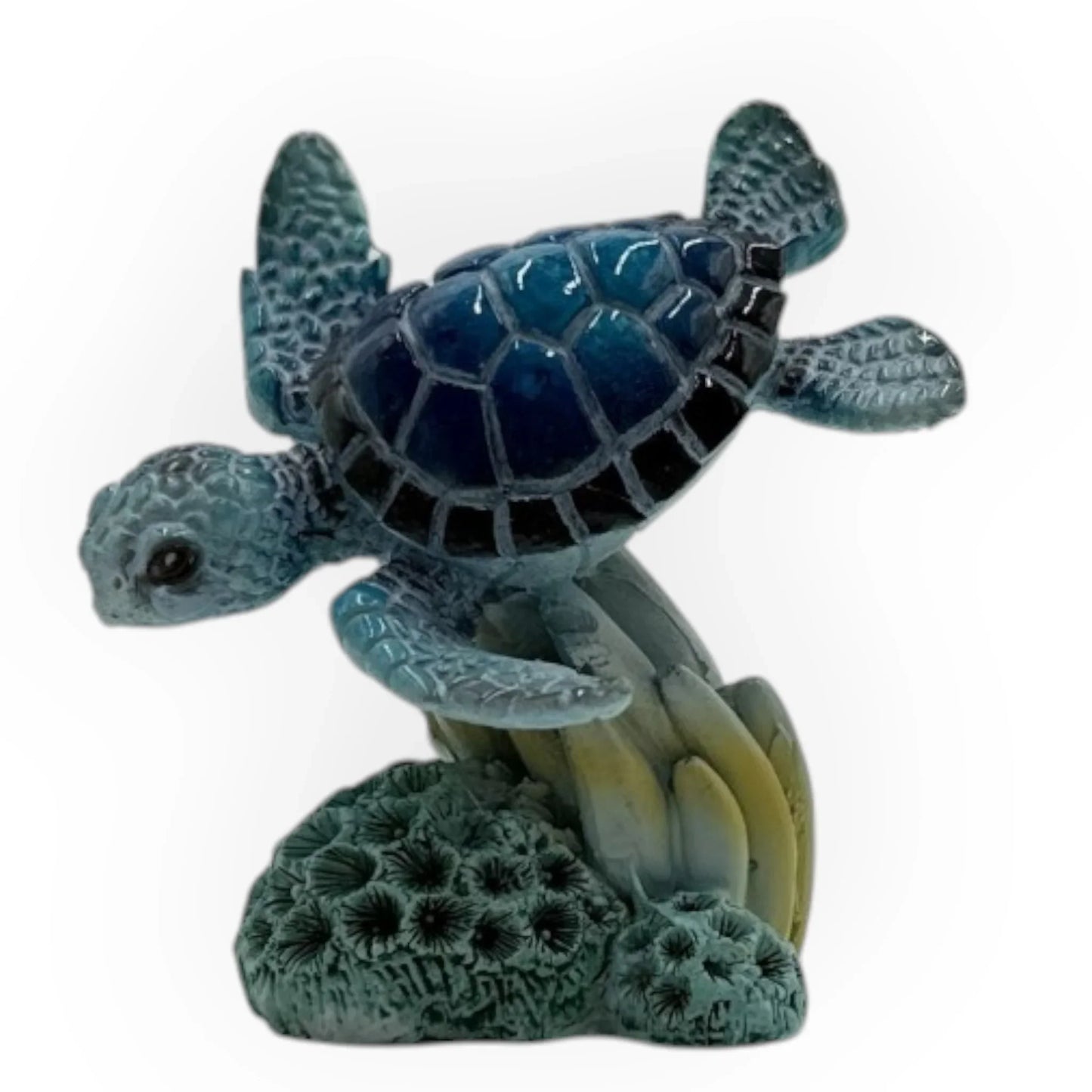 Miniature Turtles - 8cm Assorted