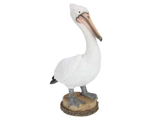 Standing Pelican on Log 40cm