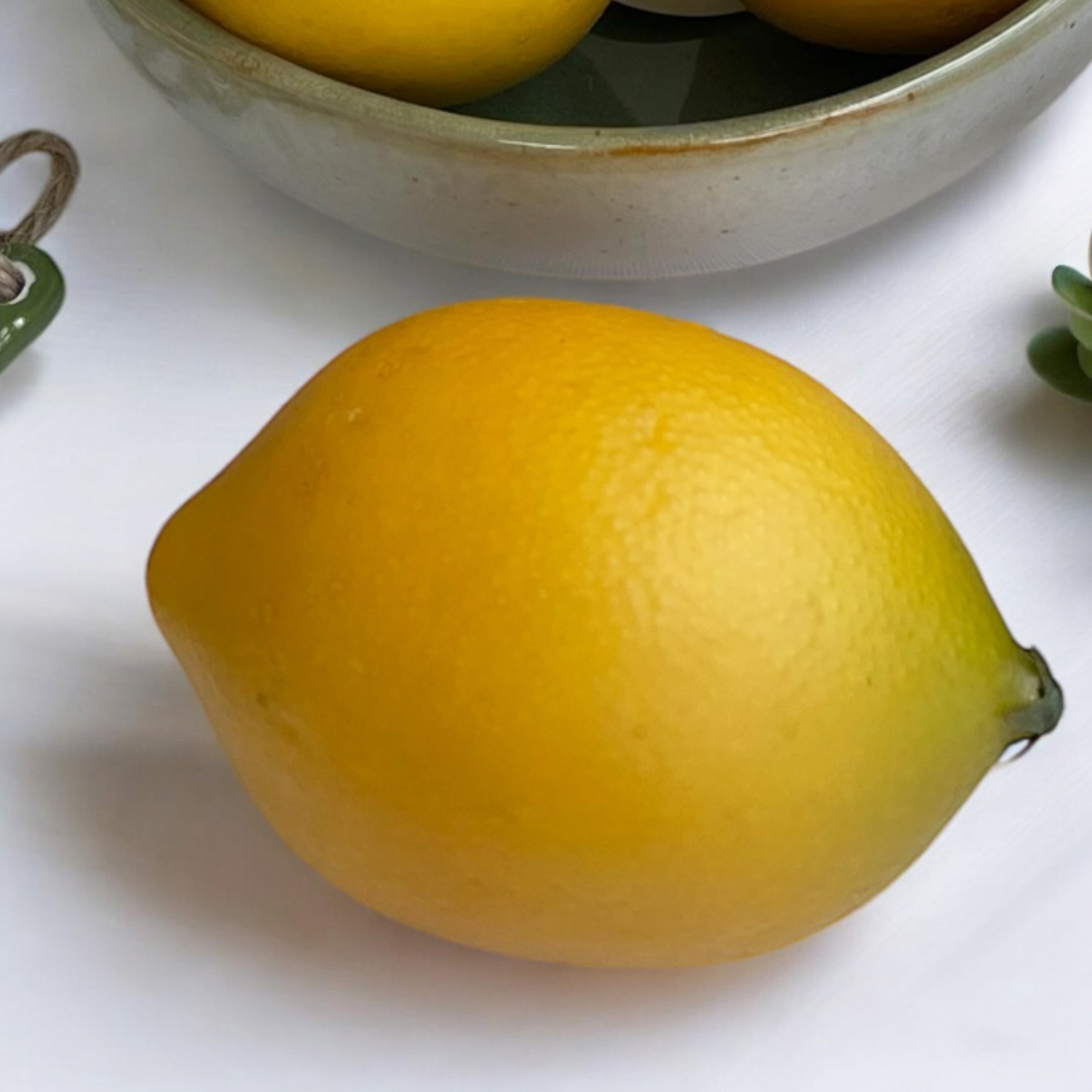 Citrus Accent
