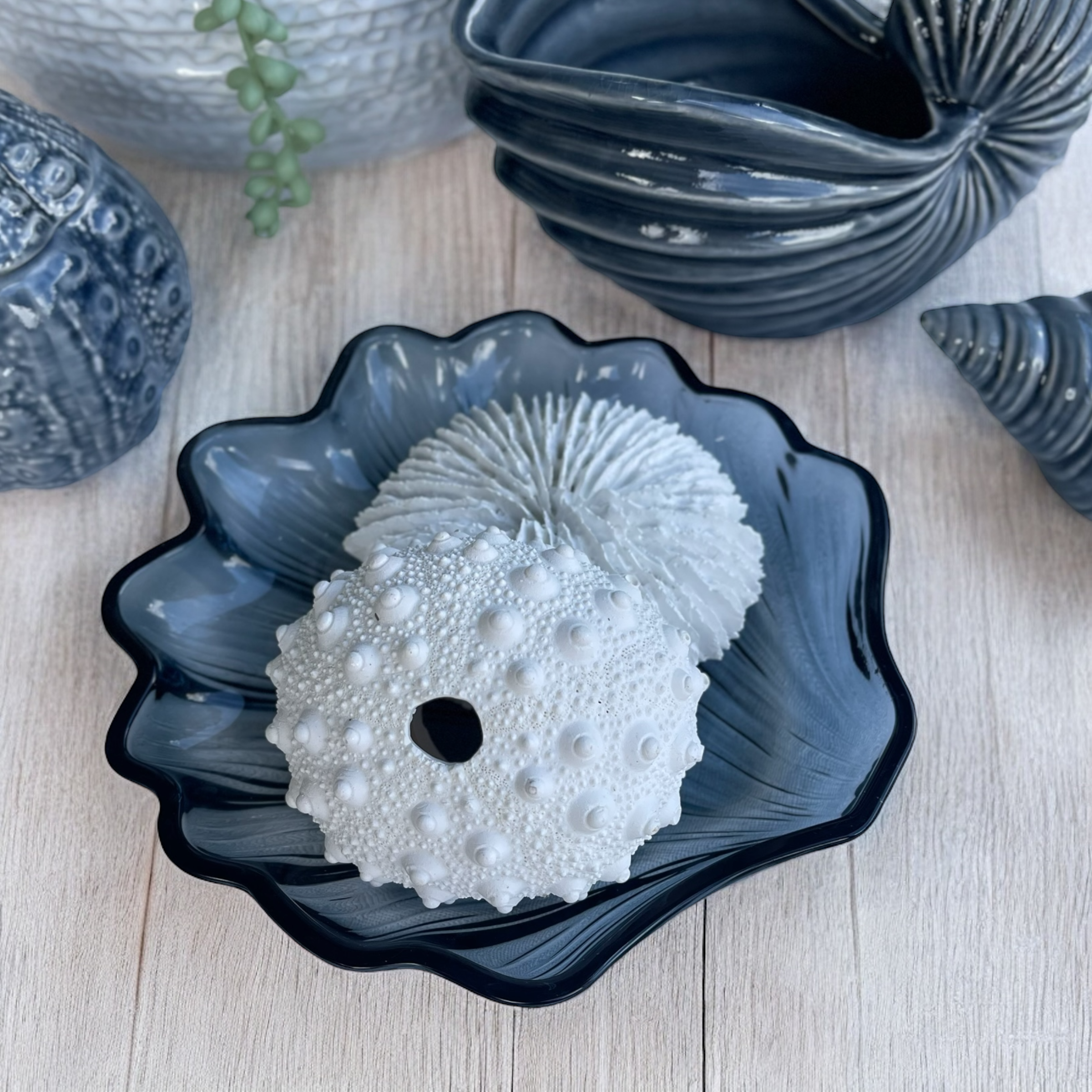 Fungia Coral Sculpture