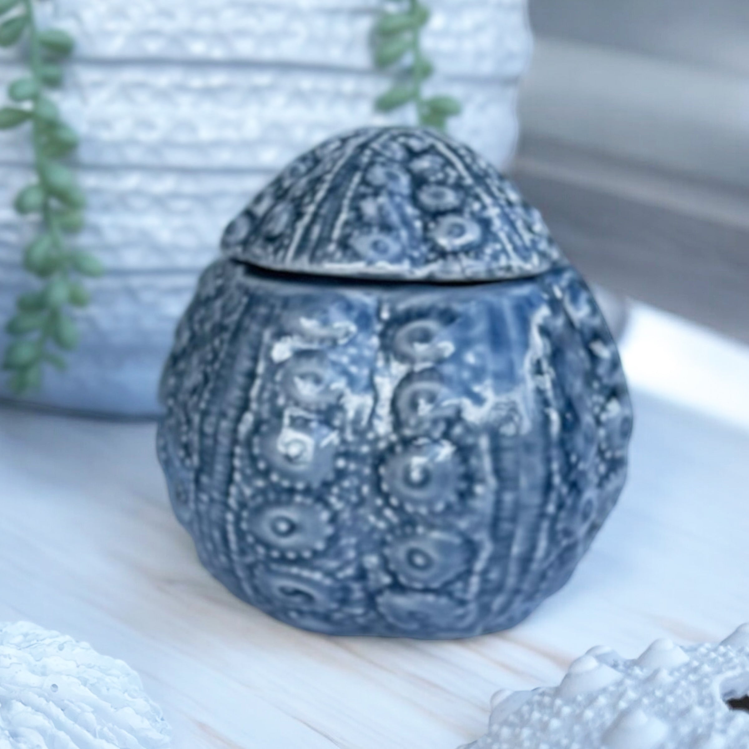 Urchin Trinket Jar