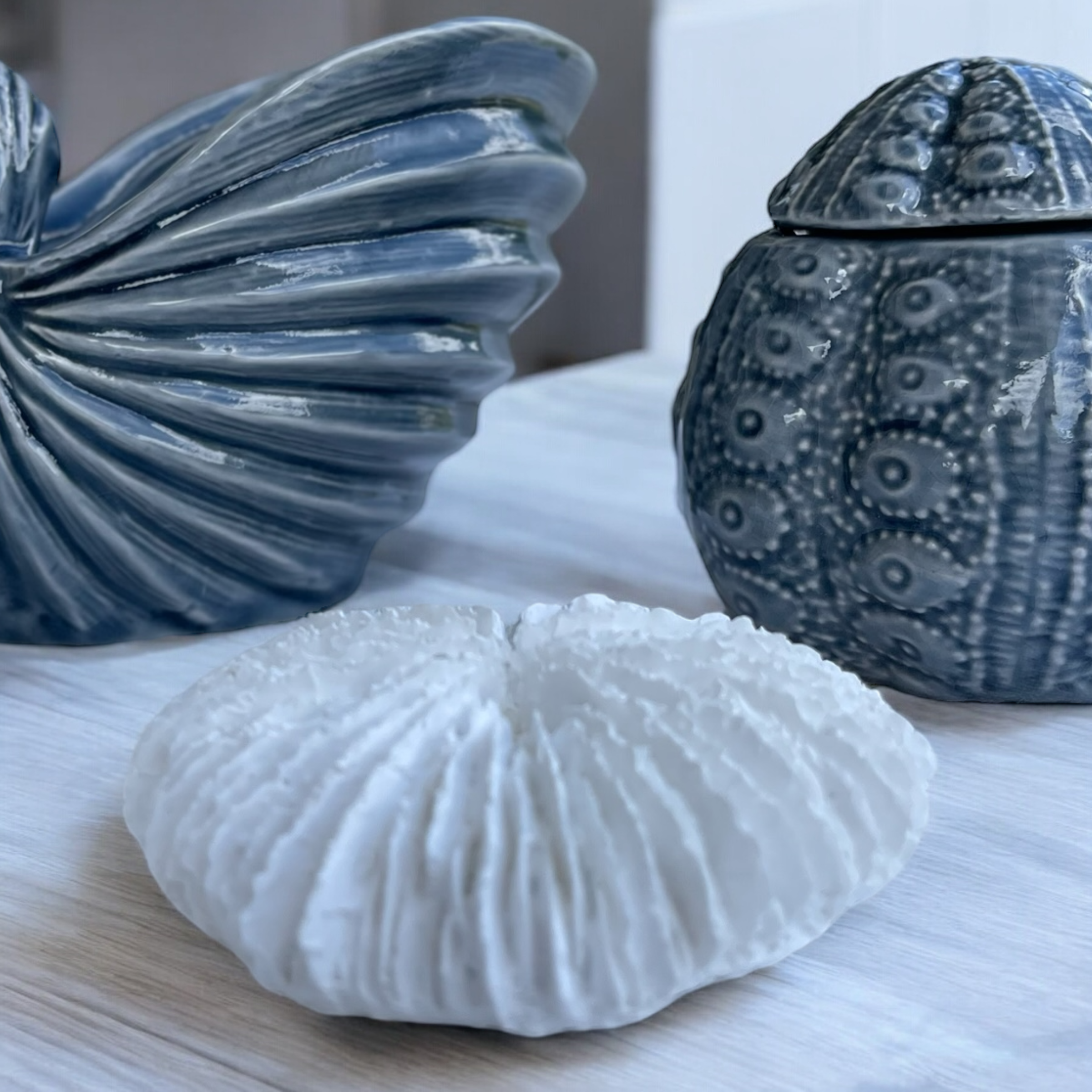 Fungia Coral Sculpture