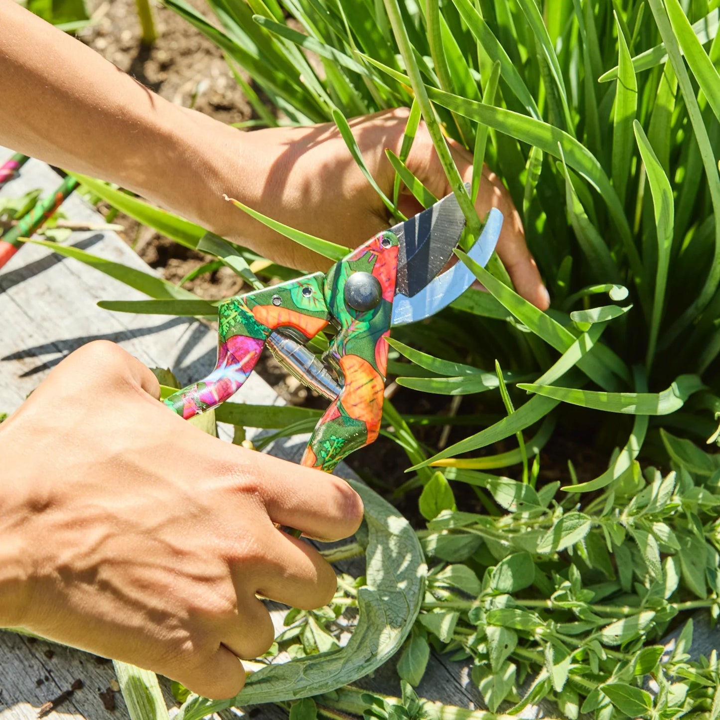 Veggie Soup Garden Secateurs and Gloves Set - 2-Piece