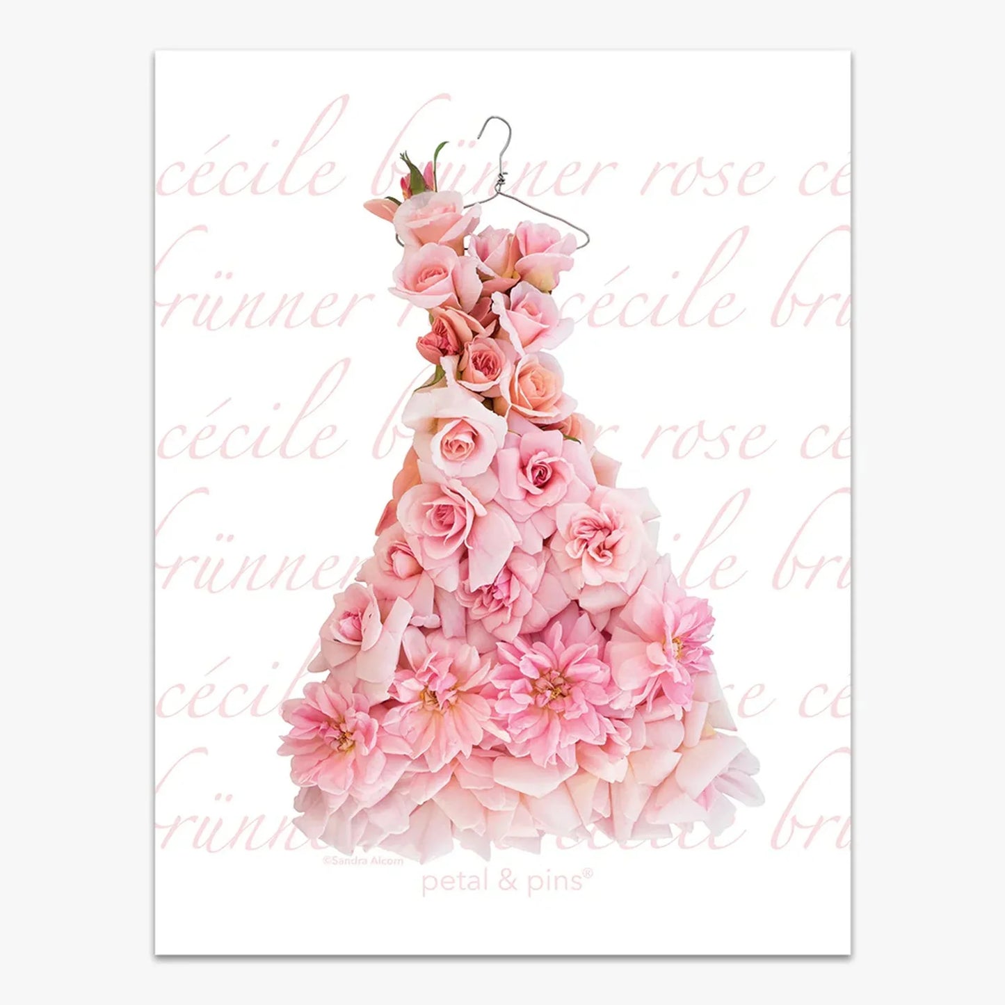Elegant Cecile Brunner Rose Tea Towel