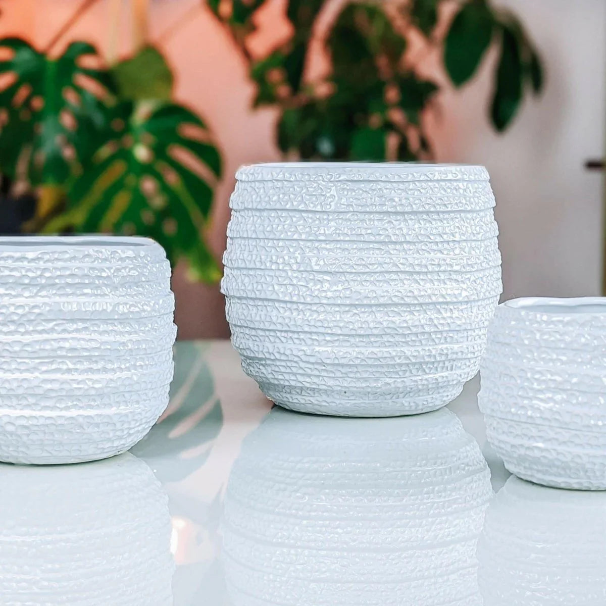 Barnacle Planter - Exquisite Homewares 