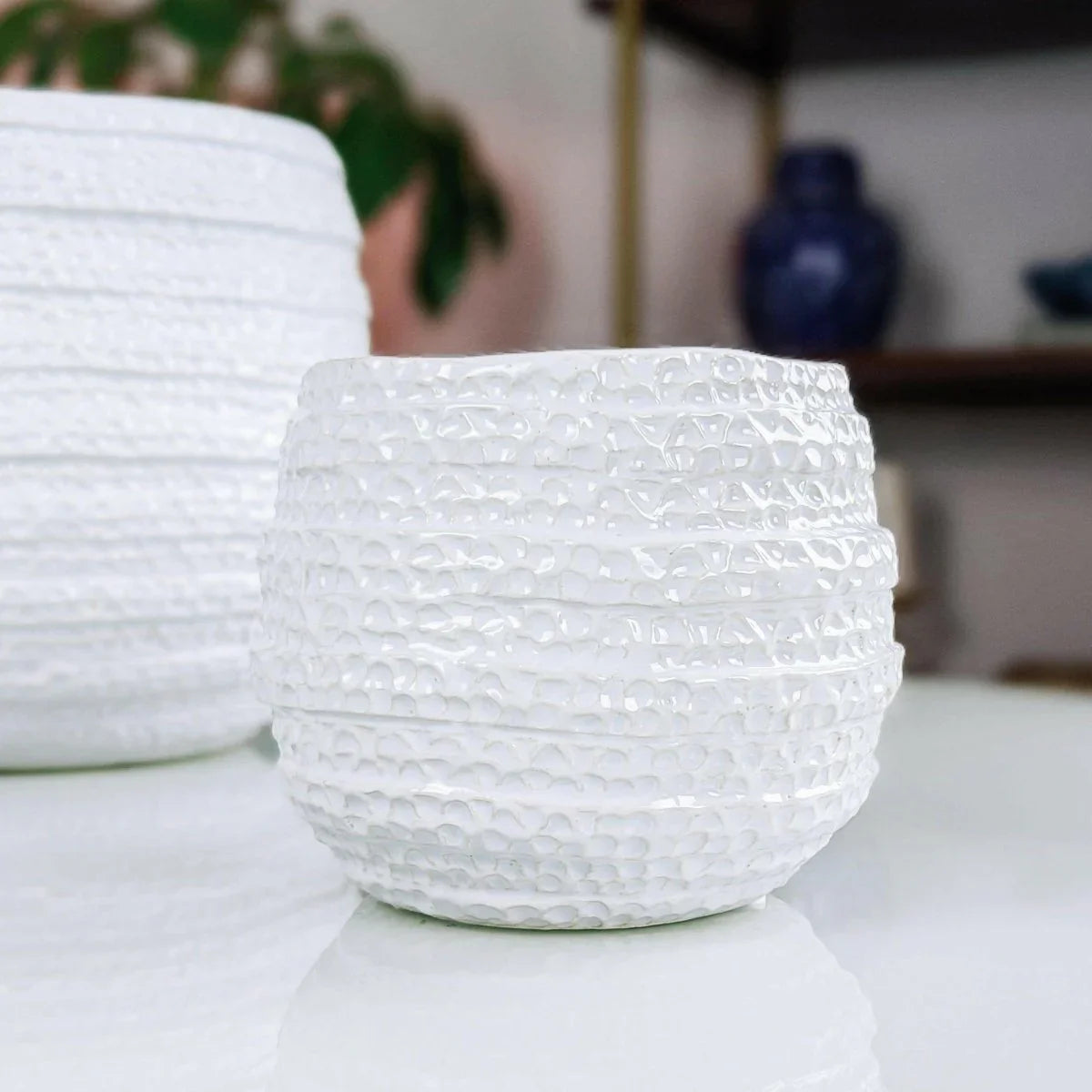 Barnacle Planter - Exquisite Homewares 