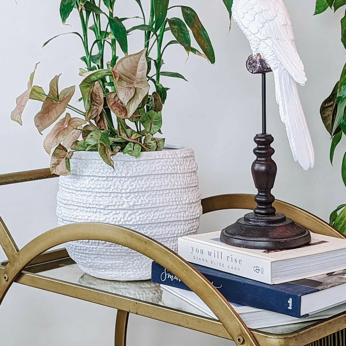 Barnacle Planter - Exquisite Homewares 
