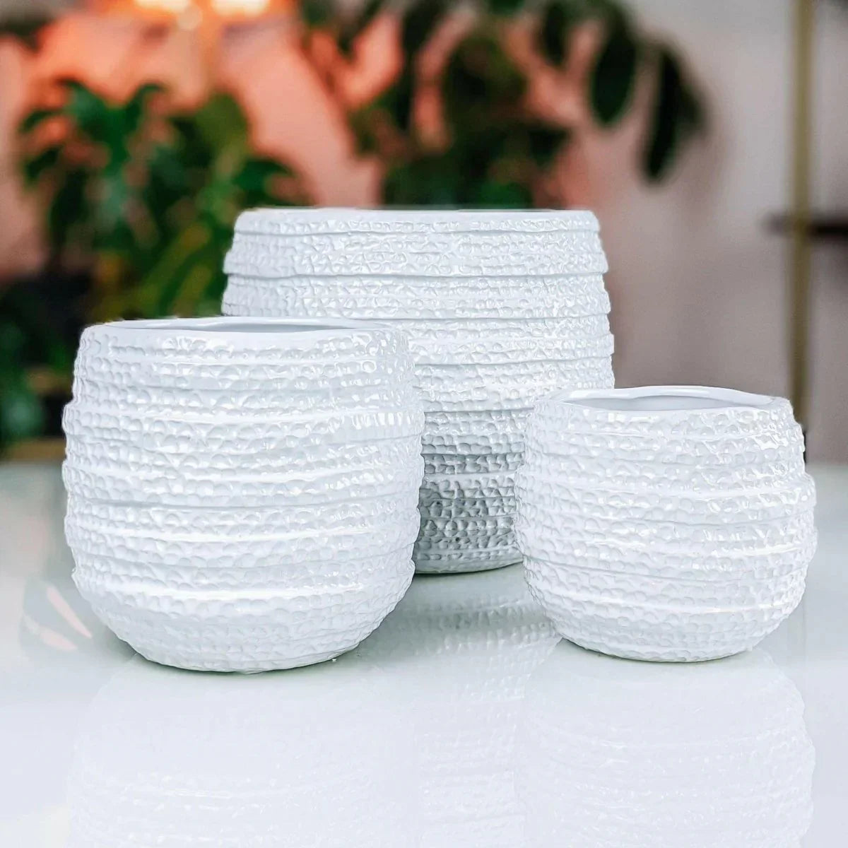 Barnacle Planter - Exquisite Homewares 