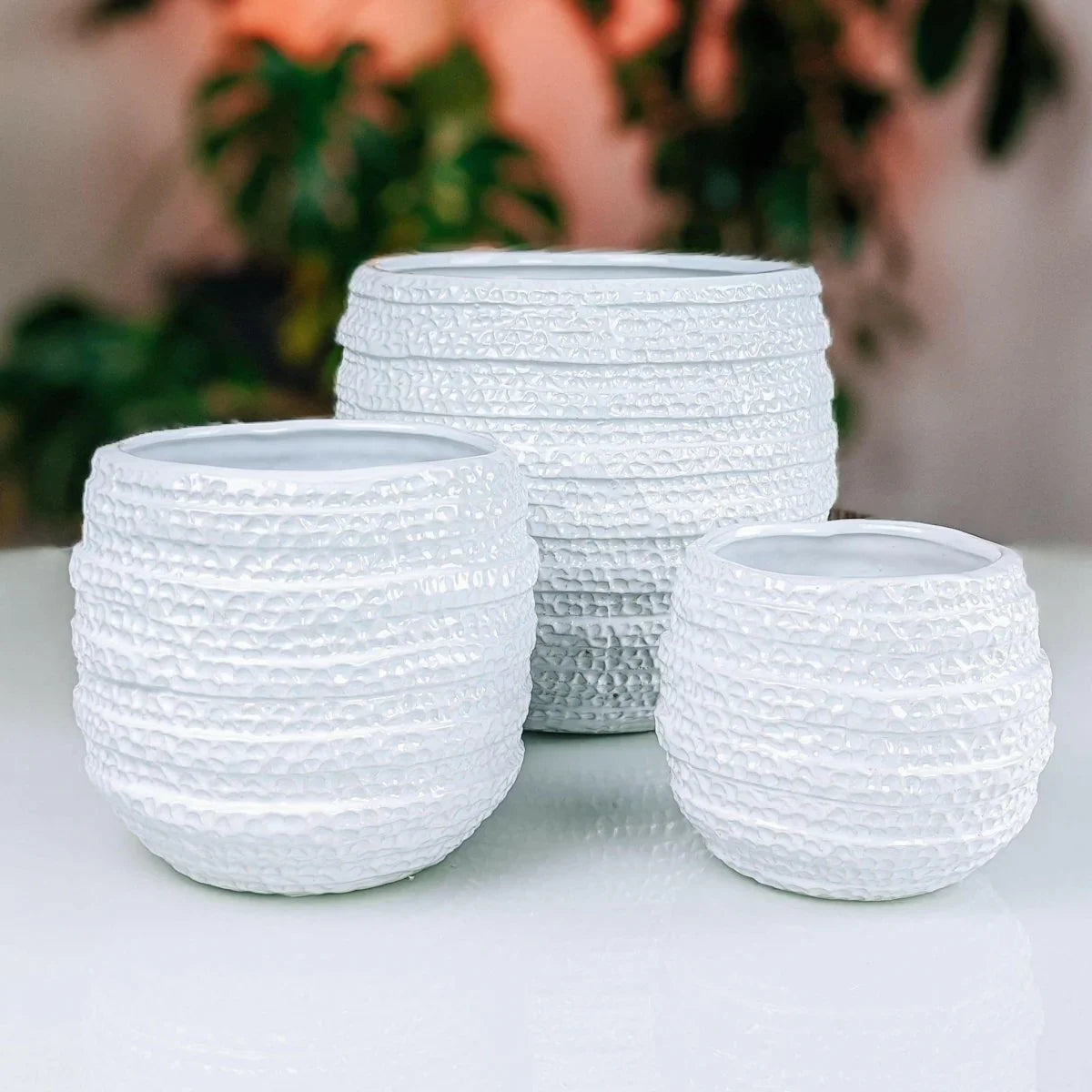 Barnacle Planter - Exquisite Homewares 