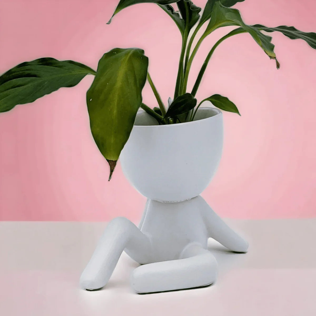Body Planters - Exquisite Homewares 