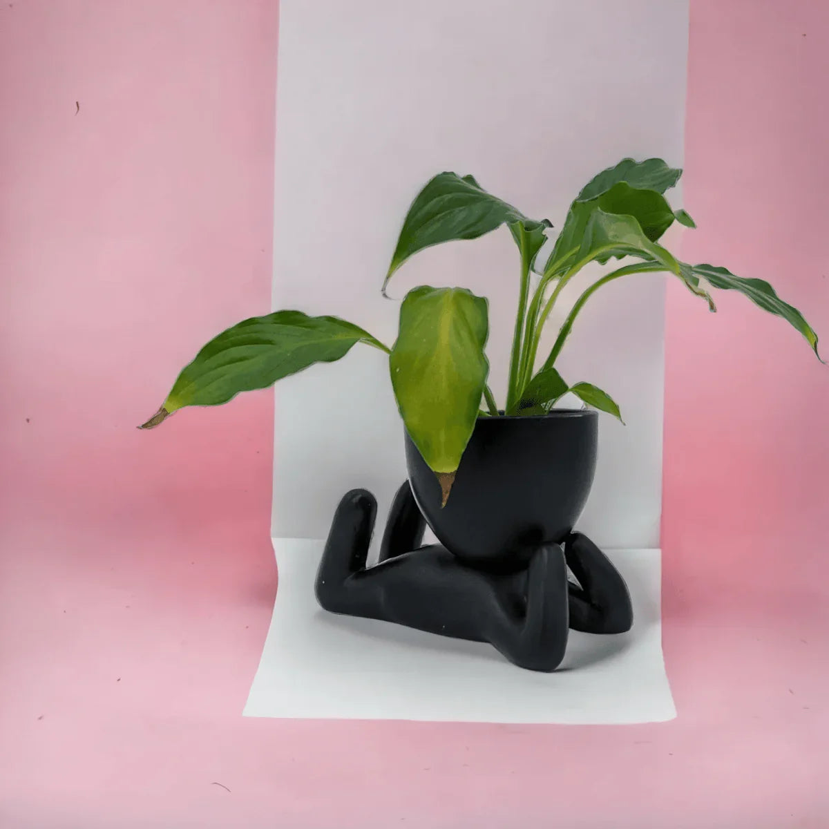 Body Planters - Exquisite Homewares 