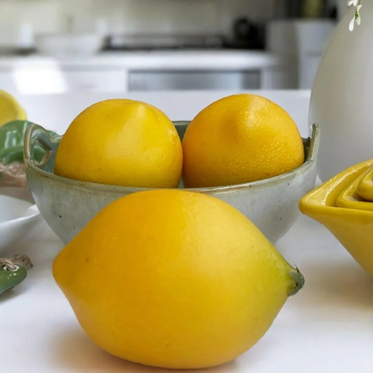 Citrus Accent - Exquisite Homewares 