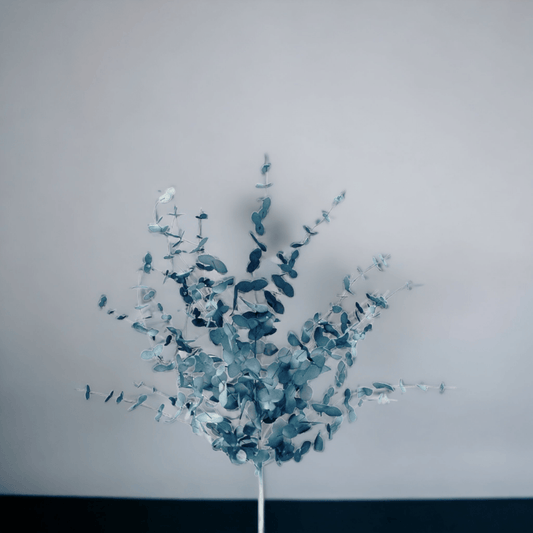 Eucalyptus Branch (Blue) - Exquisite Homewares