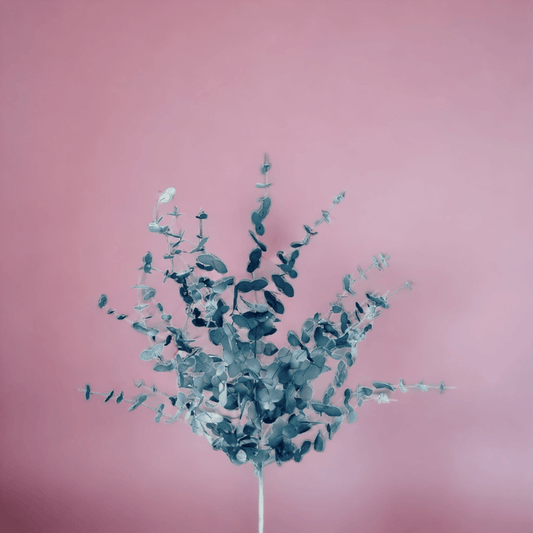 Eucalyptus Branch (Blue) - Exquisite Homewares
