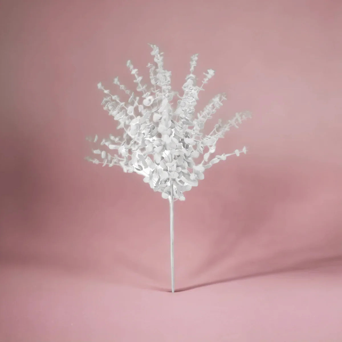 Eucalyptus Branch (White) - Exquisite Homewares 