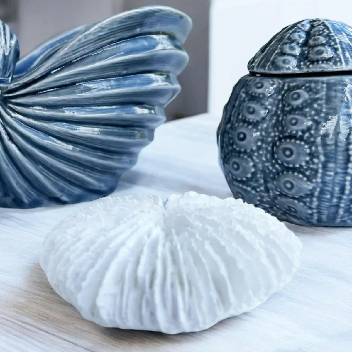 Fungia Coral Sculpture - Exquisite Homewares 