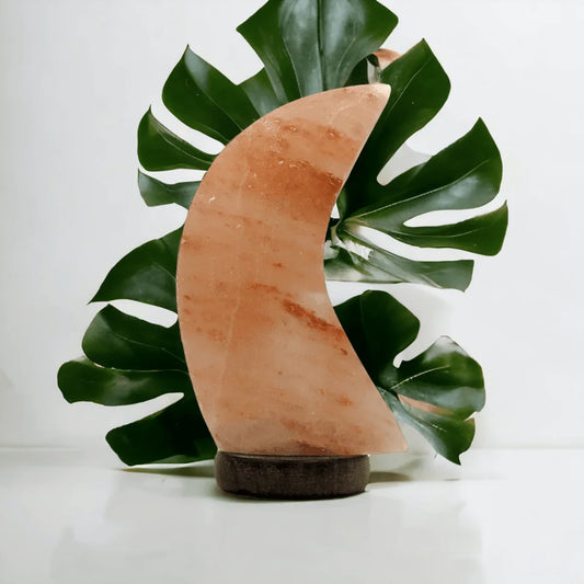 Moon Salt Lamp - Exquisite Homewares 