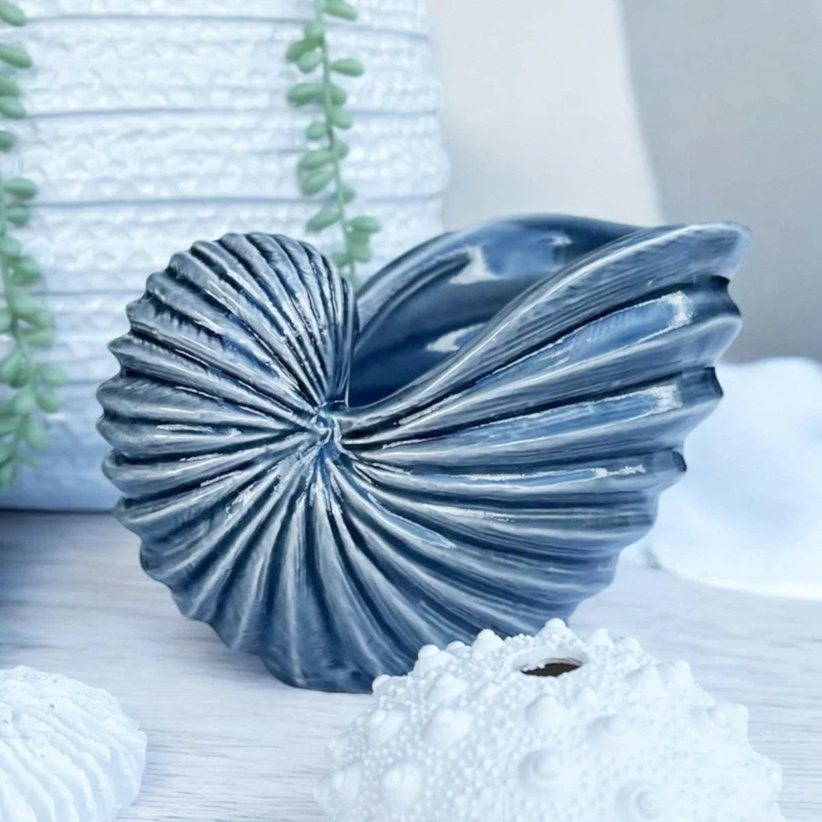 Nautilus Shell Sculpture - Exquisite Homewares 