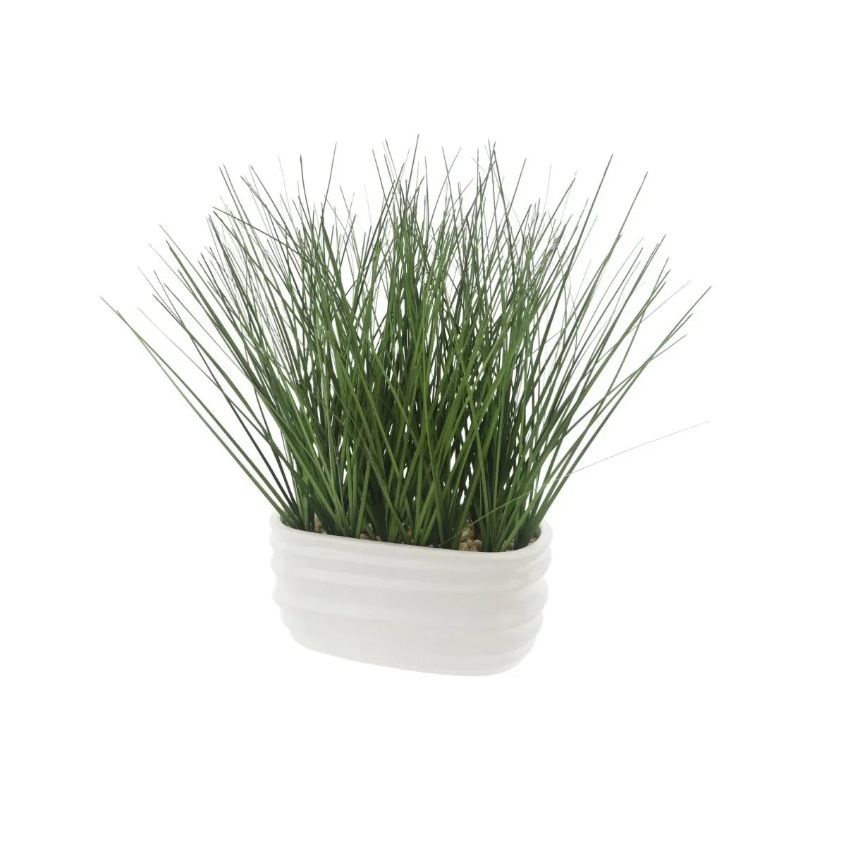 Onion Grass - Exquisite Homewares 