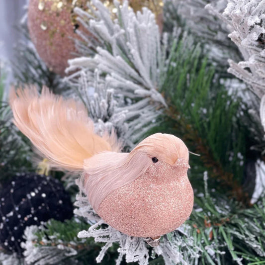 Pale Pink/Peach Curl Clip Bird - Exquisite Homewares 