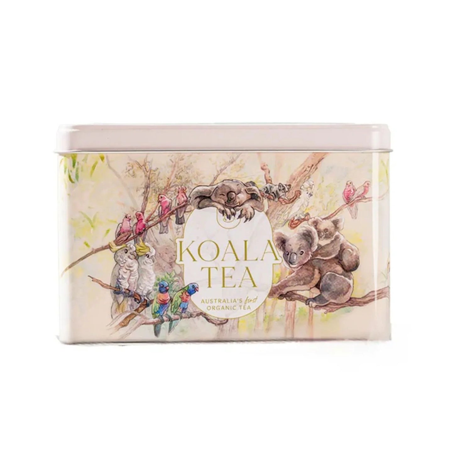 Koala Tea Rainforest Gift Tin - 25 Tea Bags