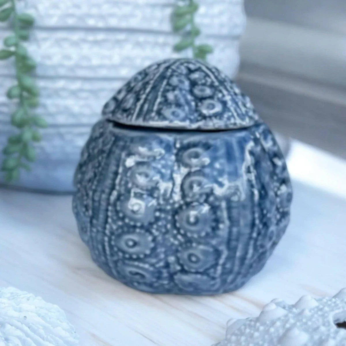 Urchin Trinket Jar - Exquisite Homewares 