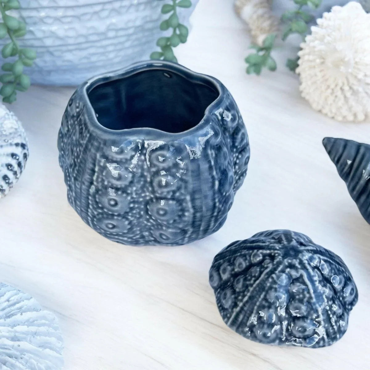Urchin Trinket Jar - Exquisite Homewares 